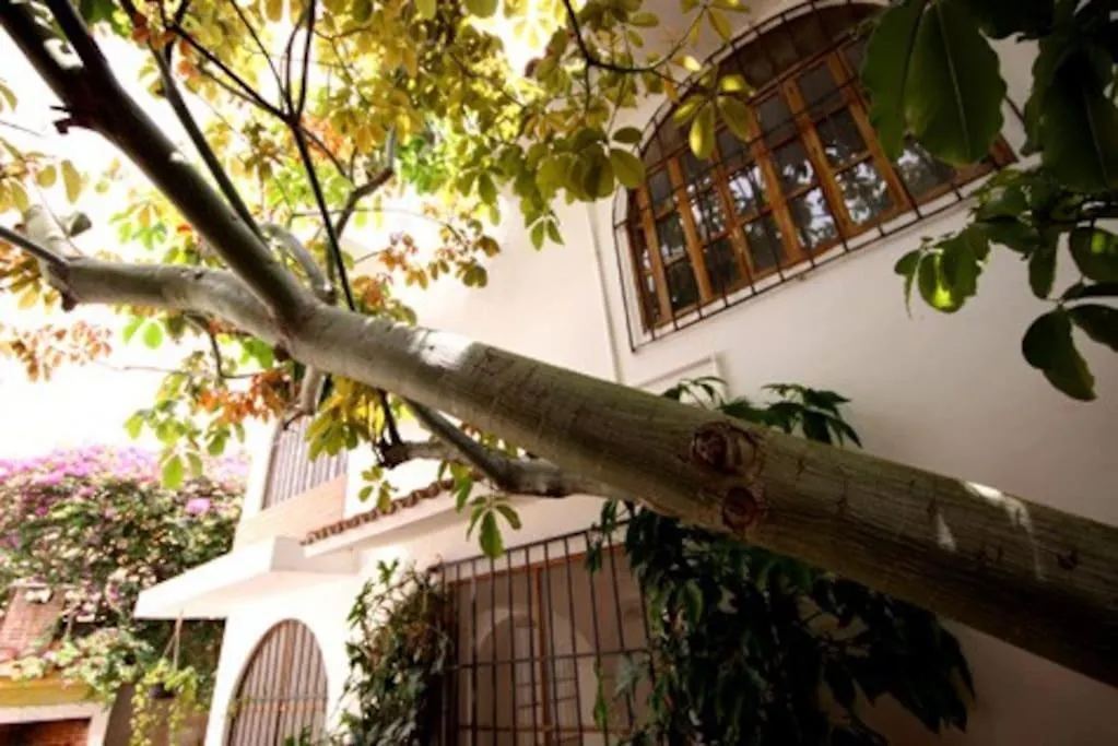 Tropical House In Downtown Cancun Villa