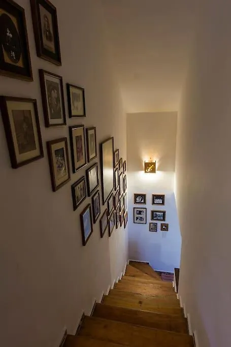 Tropical House In Downtown Cancun Villa Holiday home