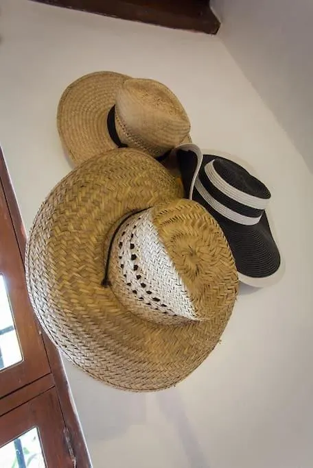 Tropical House In Downtown Cancun Villa