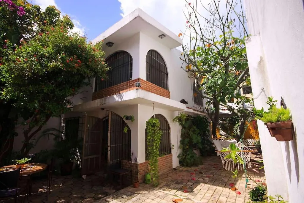 Tropical House In Downtown Cancun Villa Holiday home