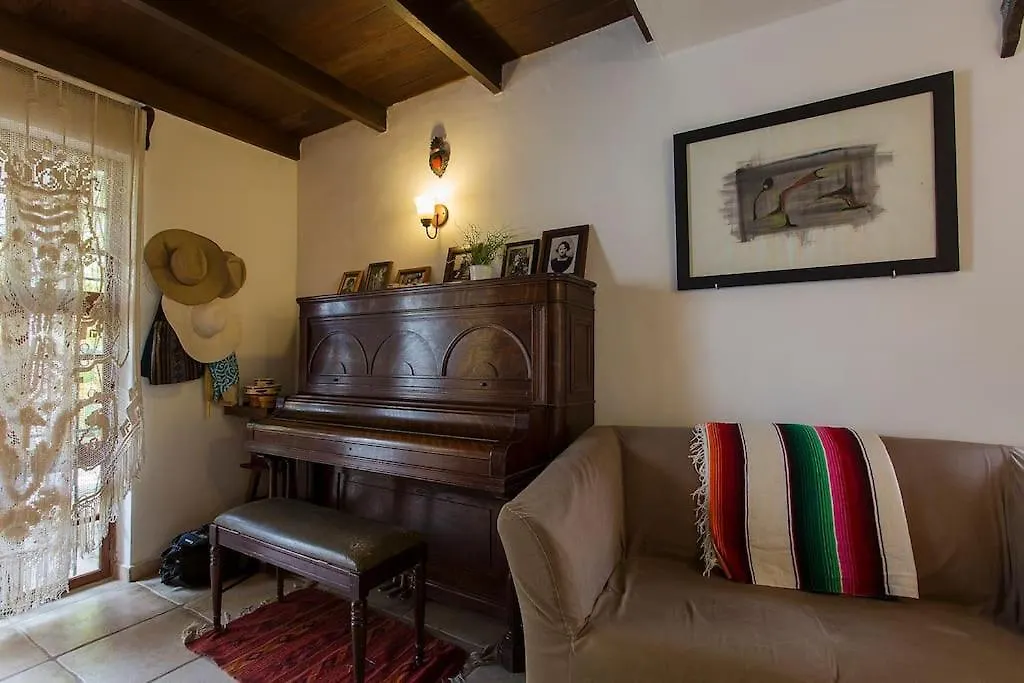 Tropical House In Downtown Cancun Villa Mexico